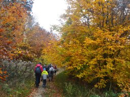 Wanderung Hühnenburg 2024