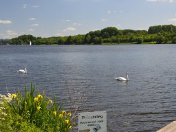 Essen Villa Hügel und Margarethenhöhe