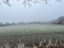 Jahresabschlußwanderung 2025