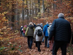 Wanderung Huenenburg