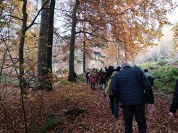 Wanderung Huenenburg