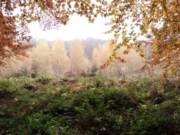 Wanderung Huenenburg